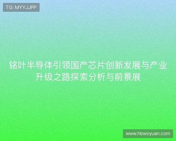 铭叶半导体引领国产芯片创新发展与产业升级之路探索分析与前景展